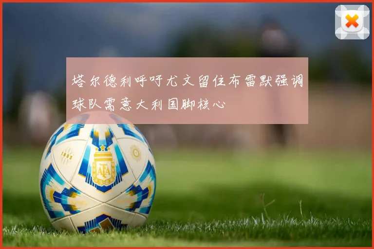 塔尔德利呼吁尤文留住布雷默强调球队需意大利国脚核心