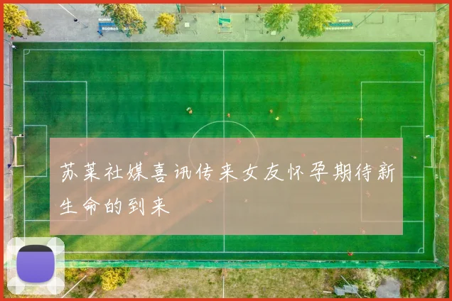 苏莱社媒喜讯传来女友怀孕期待新生命的到来