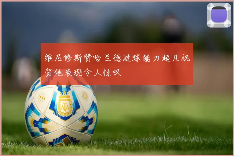 维尼修斯赞哈兰德进球能力超凡祝贺他表现令人惊叹